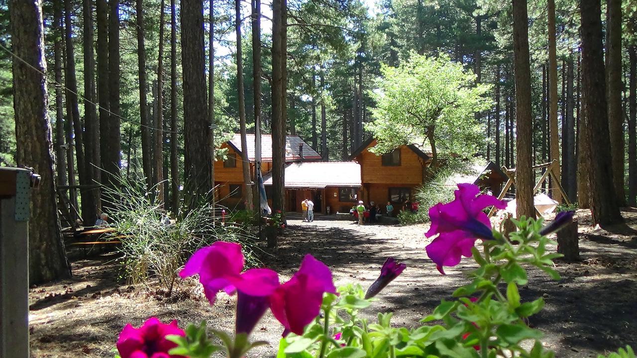 Chalet Clan Dei Ragazzi Hotel Linguaglossa Exterior photo